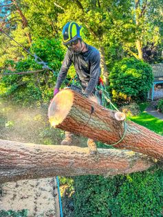 Baumkletterer schneidet ein über dem Dach hängendes Stammstück eines sturmgeschädigten Baums kontrolliert ab