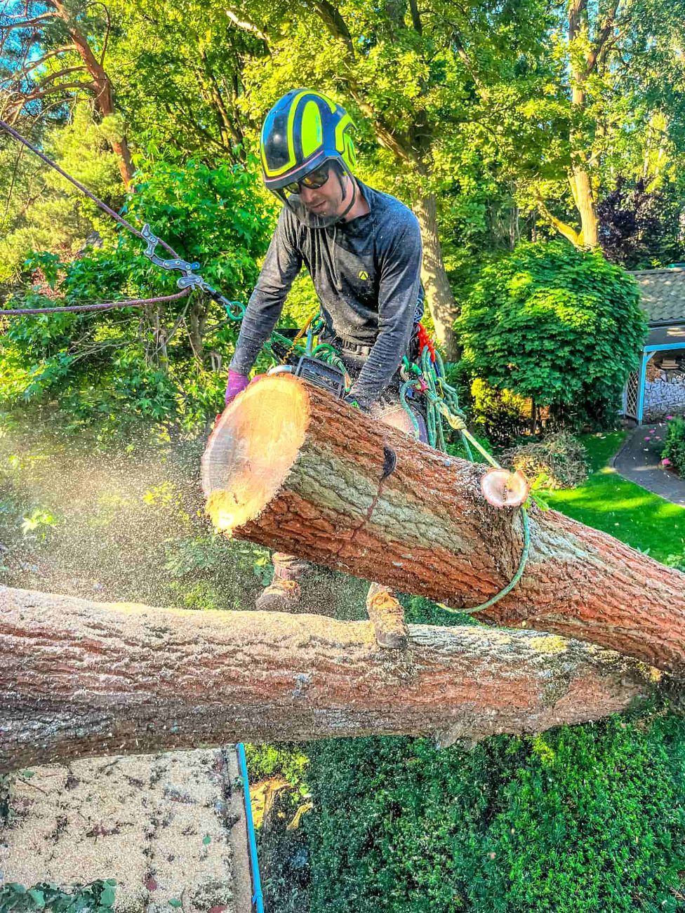 Baumkletterer schneidet ein über dem Dach hängendes Stammstück eines sturmgeschädigten Baums kontrolliert ab
